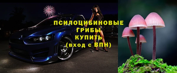 прущий лед Козловка