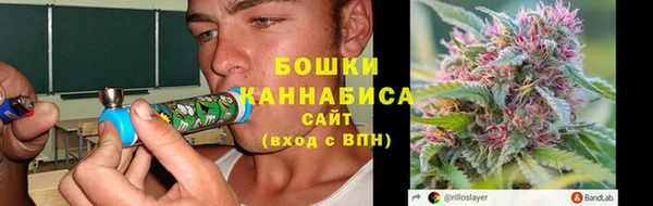 трава Кодинск